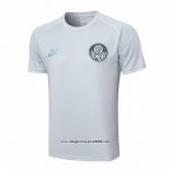 Maglia Allenamento Palmeiras 2023 2024 Grigio