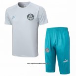 Tuta da Track Palmeiras Manica Corta 2023 2024 Grigio - Pantalon Corto