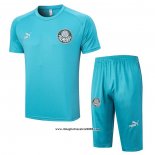 Tuta da Track Palmeiras Manica Corta 2023 2024 Verde - Pantalon Corto