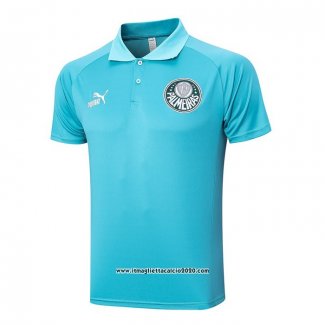 Maglia Polo Palmeiras 2023 2024 Verde