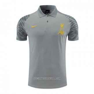 Maglia Polo Liverpool 2022 2023 Grigio