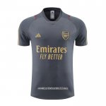 Maglia Allenamento Arsenal 2023 2024 Grigio