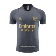 Maglia Allenamento Arsenal 2023 2024 Grigio