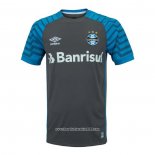 Thailandia Maglia Gremio Portiere 2021 Grigio