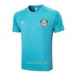 Maglia Allenamento Palmeiras 2023 2024 Verde