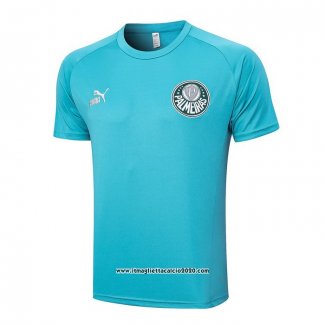 Maglia Allenamento Palmeiras 2023 2024 Verde