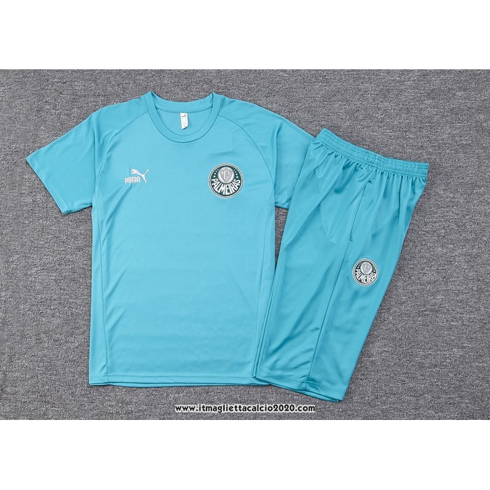 Tuta da Track Palmeiras Manica Corta 2023 2024 Verde - Pantalon Corto
