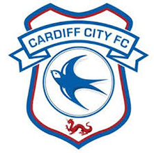 maglia Cardiff City poco prezzo 2020 2021